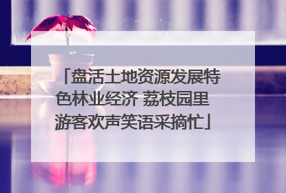 盘活土地资源发展特色林业经济 荔枝园里游客欢声笑语采摘忙